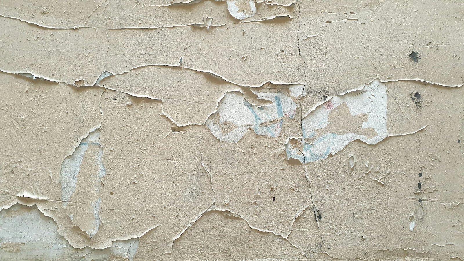 Putzwand beim Streichen im Innenraum